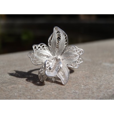 Anillo Orchid
