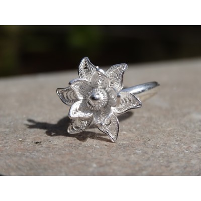 Anillo Nelke