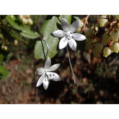 Brincos Flora