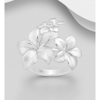 Garden Ring